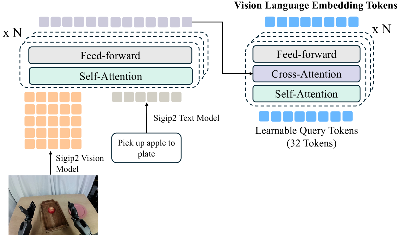 Q-former embedding module