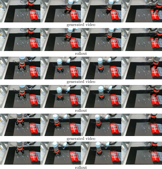 Real-world generated videos and rollouts