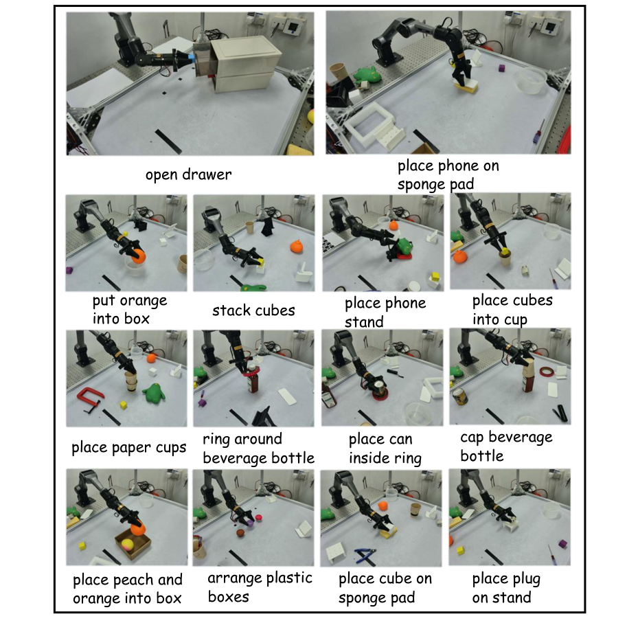 Real manipulation tasks