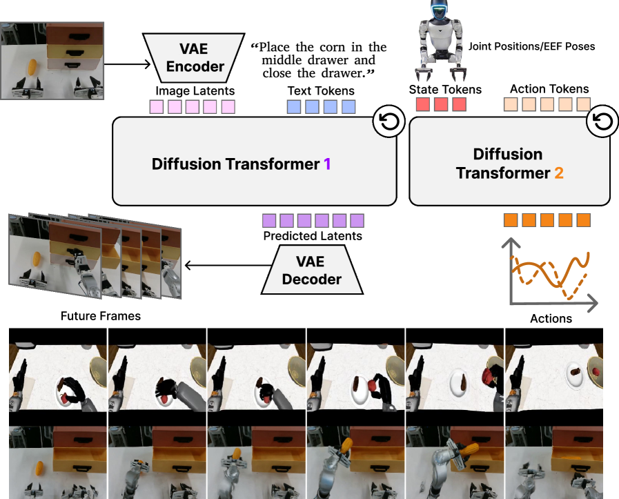DiT4DiT overview